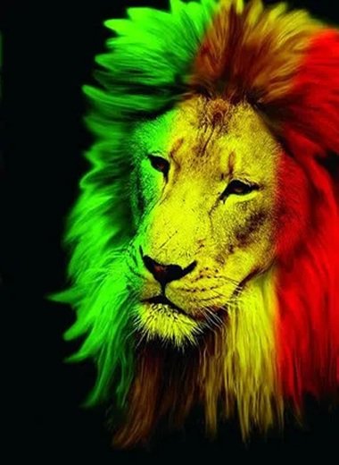 leon rastafari tricolor